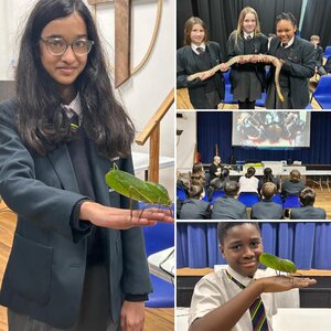 A collection of students hold a leaf insect and snake, as well as watching a presentation